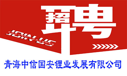 青海中信國(guó)安鋰業(yè)發(fā)展有限公司